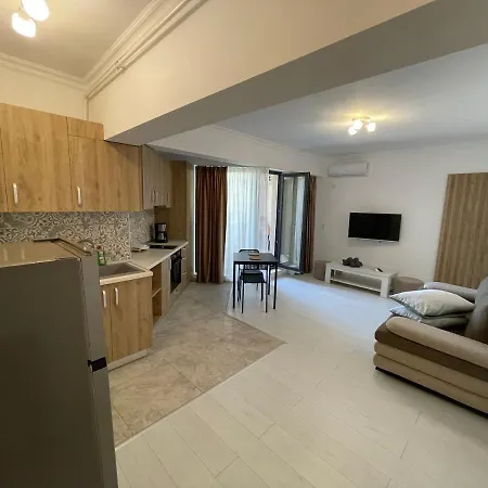 Ini Solid House Butoaie ママイア