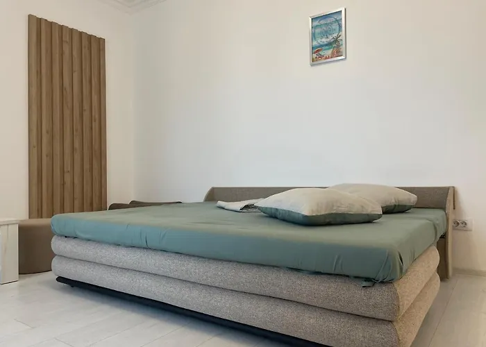 Ini Solid House Butoaie *