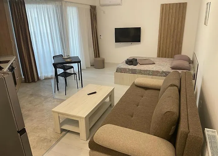 Ini Solid House Butoaie